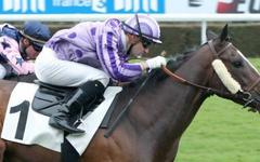 Quinté. Le Prix du Petit Pré à ParisLongchamp ce jeudi 8 juillet 2021.