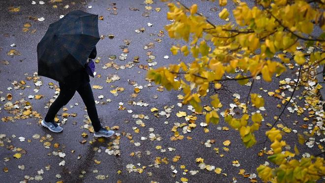 Crues et inondations : huit départements du Nord-Est de la France placés en vigilance orange