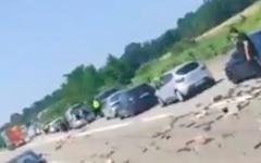 Haut-Rhin: Des dosettes de café tombent sur l'autoroute entre Bâle et Mulhouse - Les automobilistes se ruent dessus - Regardez
