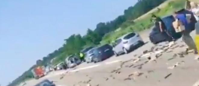 Haut-Rhin: Des dosettes de café tombent sur l'autoroute entre Bâle et Mulhouse - Les automobilistes se ruent dessus - Regardez