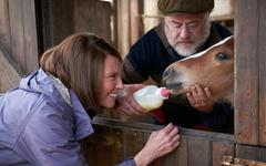 "C’est une légende en puissance" : la folle histoire vraie qui a inspiré le film "Dream Horse"