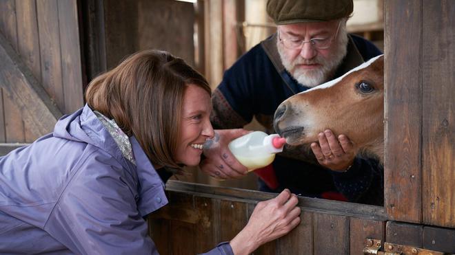 "C’est une légende en puissance" : la folle histoire vraie qui a inspiré le film "Dream Horse"