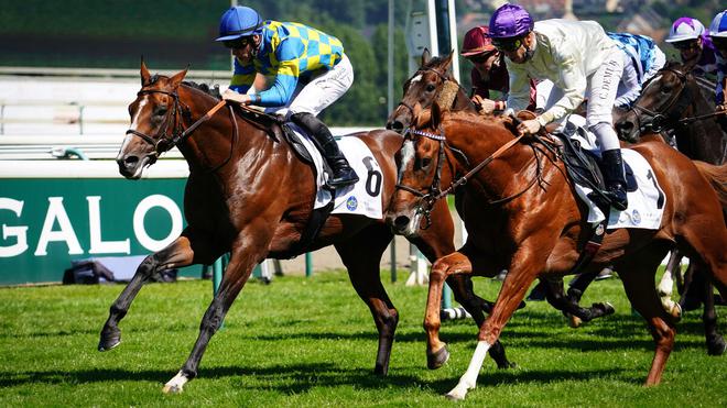 PMU - Arrivée du quinté du samedi 14 août à Deauville : Berkane revient de loin