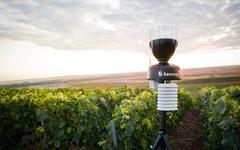 Sencrop surveille vos maïs et tournesols