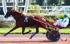 PMU - Arrivée du quinté du mercredi 22 septembre à Amiens : Flaya Kalouma sans trembler