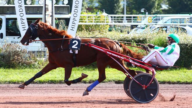 PMU - Arrivée du quinté du mercredi 22 septembre à Amiens : Flaya Kalouma sans trembler