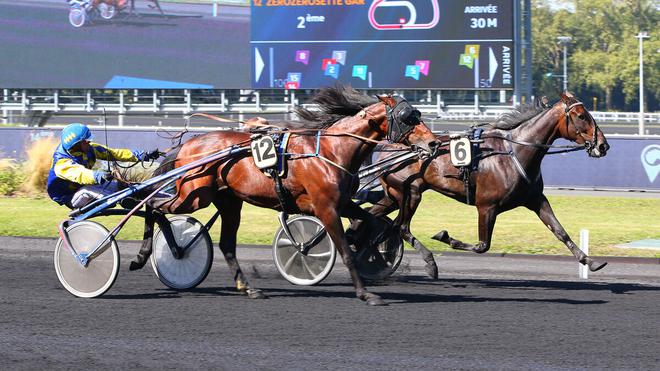 PMU - Arrivée du quinté du jeudi 22 septembre à Vincennes : Tjacko Zaz résiste à Zerozerosette Gar