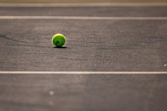 Tennis (Open de Moselle) : Gaël Monfils sauve l'honneur des Français.