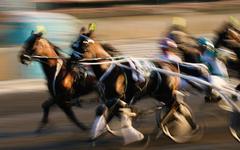 Quinté. Le Grand National du Trot à Argentan ce mercredi 29 Septembre 2021.