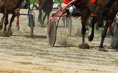 Quinté. Le Grand Prix Anjou Maine à Angers le mercredi 6 octobre 2021.