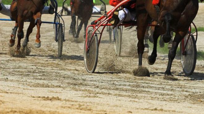 Quinté. Le Grand Prix Anjou Maine à Angers le mercredi 6 octobre 2021.