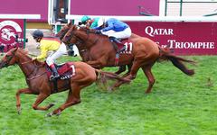 PMU - Arrivée du quinté du dimanche 3 octobre à ParisLongchamp : Torquator Tasso remporte l’Arc à 71/1