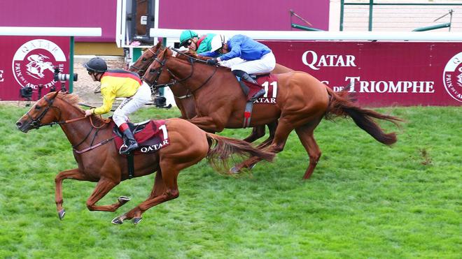 PMU - Arrivée du quinté du dimanche 3 octobre à ParisLongchamp : Torquator Tasso remporte l’Arc à 71/1