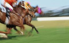 Quinté. Le Prix des Arènes de Lutèce à ParisLongchamp ce dimanche 17 octobre 2021.
