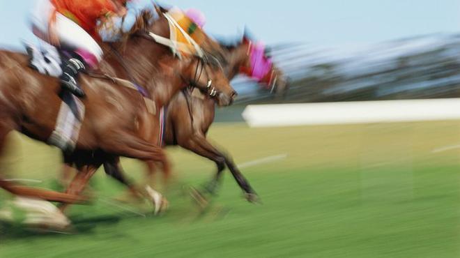 Quinté. Le Prix des Arènes de Lutèce à ParisLongchamp ce dimanche 17 octobre 2021.