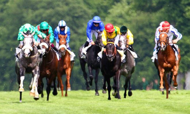 Quinté. Le Prix Rieussec à ParisLongchamp ce jeudi 28 octobre 2021.