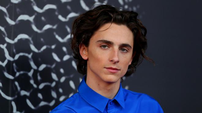 La petite chaîne YouTube que Timothée Chalamet gérait lorsqu'il était adolescent a été retrouvée