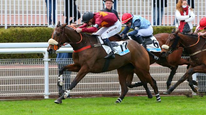 PMU - Arrivée du quinté du dimanche 14 novembre à Auteuil : Golden Witch quelle que soit l’opposition