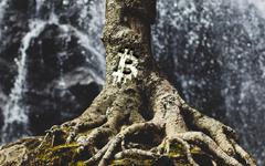 Bitcoin (BTC) : Sa dernière mise à jour, Taproot, est maintenant disponible !