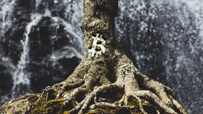 Bitcoin (BTC) : Sa dernière mise à jour, Taproot, est maintenant disponible !