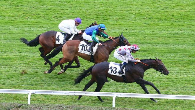 PMU - Arrivée du quinté du mardi 16 novembre à Saint-Cloud : rien n’arrête Mickaël Barzalona...