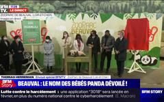 Yuandudu et Huanlili: les bébés pandas du zoo de Beauval reçoivent leur prénom définitif, en présence de Kylian Mbappé