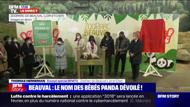 Yuandudu et Huanlili: les bébés pandas du zoo de Beauval reçoivent leur prénom définitif, en présence de Kylian Mbappé