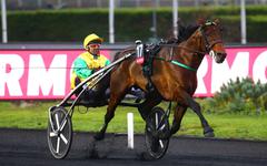 PMU - Arrivée du quinté du quinté du dimanche 21 novembre à Paris-Vincennes : le champion Face Time Bourbon survole le Prix de Bretagne