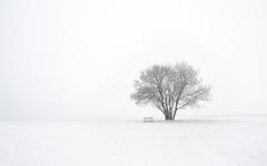 Météo. La neige devrait faire son retour en Normandie samedi 27 et dimanche 28 novembre