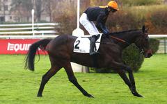 PMU - Arrivée du quinté du dimanche 28 novembre à Auteuil : Gran Diose a tout d’un grand