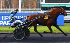 PMU - Arrivée du quinté du lundi 29 novembre à Vincennes : Etoile de Quesny avec facilité