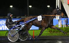 PMU - Arrivée du quinté du vendredi 3 décembre à Vincennes : Face Time sans opposition