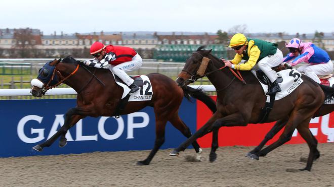 PMU - Arrivée du quinté du mardi 7 décembre à Chantilly : Nordeste résiste à Royaumont