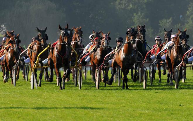 Pronos Basedor  Samedi 11 Décembre 2021