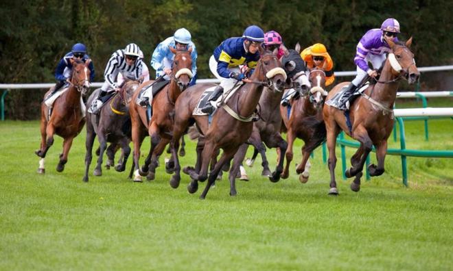 Quinté. Le Prix Georges Pastre à Pau ce mardi 14 décembre 2021.
