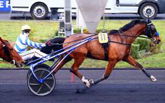 PMU - Arrivée du quinté du vendredi 17 décembre à Paris-Vincennes : Epsom d’Herfraie comme prévu