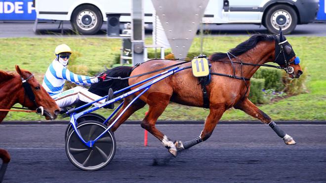 PMU - Arrivée du quinté du vendredi 17 décembre à Paris-Vincennes : Epsom d’Herfraie comme prévu