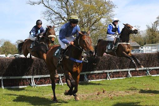PRIX HARAS DU LION 03-01-2022