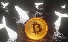 Investissement en crypto Bitcoin : faut-il investir sur le BTC au prix actuel ?