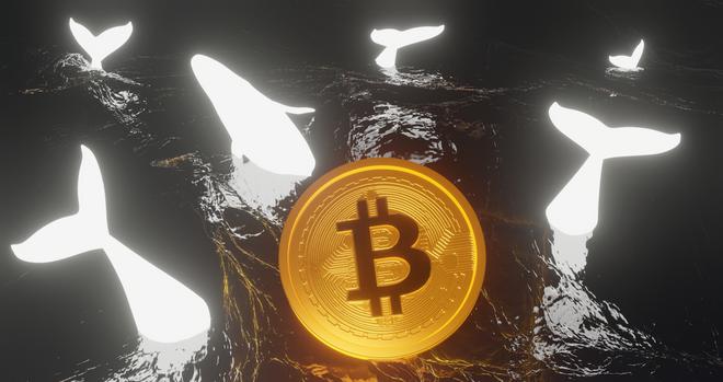 Investissement en crypto Bitcoin : faut-il investir sur le BTC au prix actuel ?