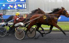 Arrivée du quinté du lundi 10 janvier à Vincennes : Halicia Bella dix ans après sa mère