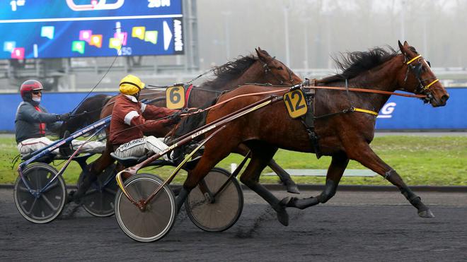 Arrivée du quinté du lundi 10 janvier à Vincennes : Halicia Bella dix ans après sa mère