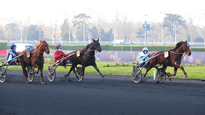 PMU - Arrivée du quinté du mardi 11 janvier à Paris-Vincennes : Gourou de bout en bout