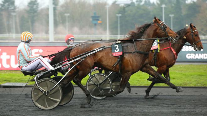 Hippisme : le récital Bazire avec Feydeau Seven