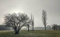 Pollution : de la neige industrielle tombe sur la métropole de Lyon