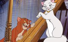 Disney : le studio aux grandes oreilles prépare un remake des Aristochats en live action