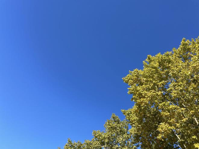 MÉTÉO FRANCE Quel temps dans le Gard, ce lundi 24 janvier ?