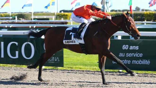 PMU - Arrivée du quinté du lundi 24 janvier à Cagnes-sur-Mer : Watch Him n’a regardé personne