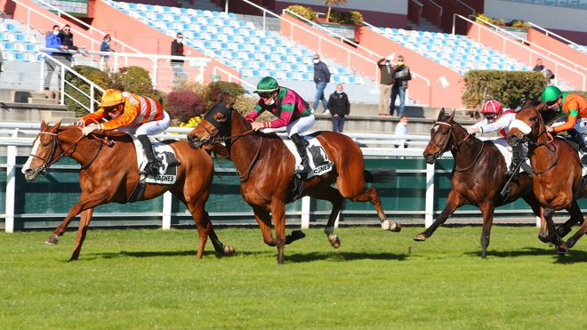 PMU - Arrivée du quinté du mardi 1er février à Cagnes-sur-Mer : le triomphe d’Olympie