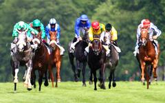 Quinté. Le Prix de Veules les Roses à Deauville ce samedi 5 février 2022.